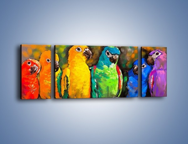 Obraz na płótnie – Rozmowa papuzich przyjaciół – trzyczęściowy GR492W5