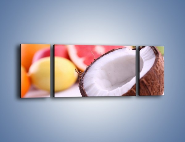 Obraz na płótnie – Kokosowo-owocowy mix – trzyczęściowy JN042W5