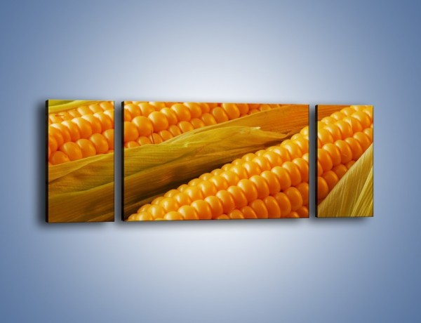 Obraz na płótnie – Kolby dojrzałych kukurydz – trzyczęściowy JN046W5