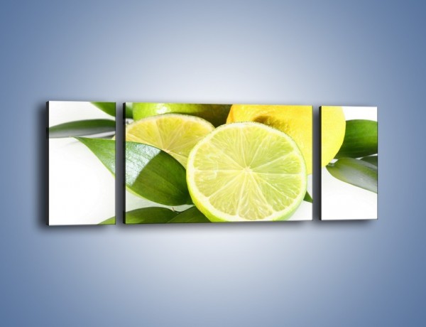 Obraz na płótnie – Mix cytrynowo-limonkowy – trzyczęściowy JN058W5