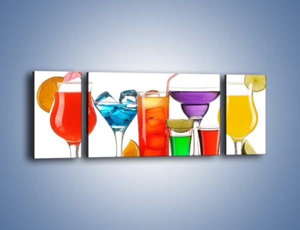 Obraz na płótnie – Wakacyjne party z alkoholem – trzyczęściowy JN092W5