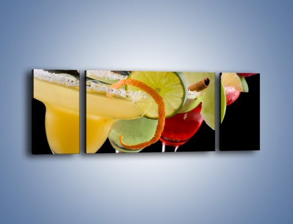 Obraz na płótnie – Drinki z dodatkiem owoców – trzyczęściowy JN101W5