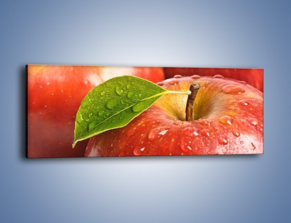 Obraz na płótnie – Jabłka prosto z drzewa – jednoczęściowy panoramiczny JN302