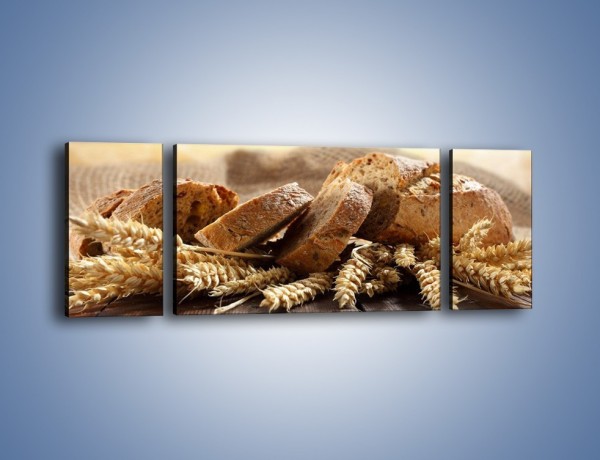 Obraz na płótnie – Świeży pszenny chleb – trzyczęściowy JN287W5