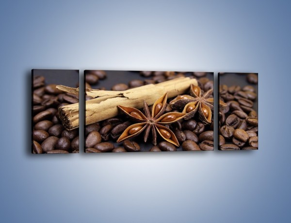 Obraz na płótnie – Ziarna kawy z goździkami – trzyczęściowy JN351W5