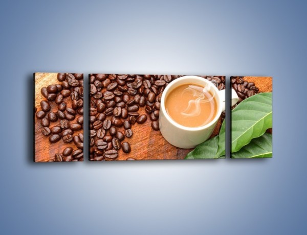 Obraz na płótnie – Ziarna kawy pod liściem – trzyczęściowy JN417W5