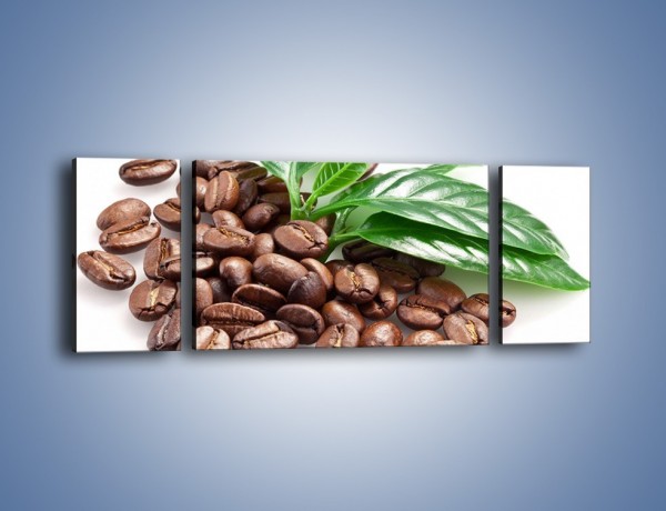 Obraz na płótnie – Kawa wśród zieleni – trzyczęściowy JN418W5