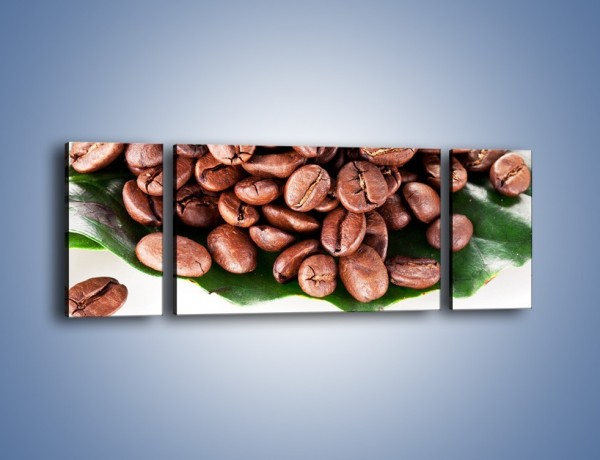 Obraz na płótnie – Ziarna kawy na liściu – trzyczęściowy JN419W5