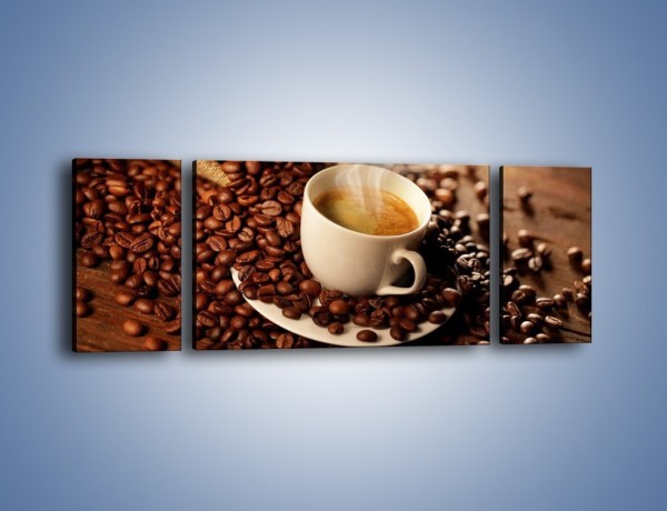 Obraz na płótnie – Zatopione ziarna kawy – trzyczęściowy JN477W5