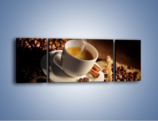 Obraz na płótnie – Historia dwóch ziarenek kawy – trzyczęściowy JN479W5