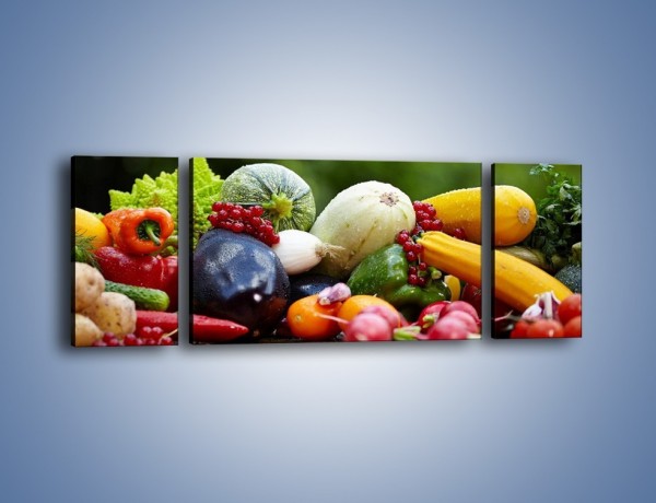 Obraz na płótnie – Warzywa na ogrodowym stole – trzyczęściowy JN483W5