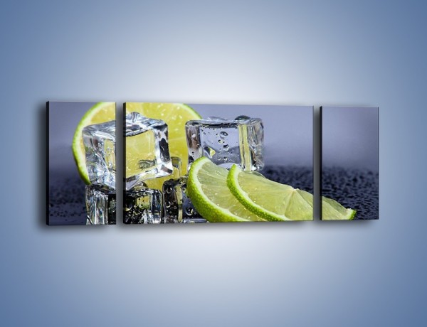 Obraz na płótnie – Plastry limonki o zmroku – trzyczęściowy JN496W5
