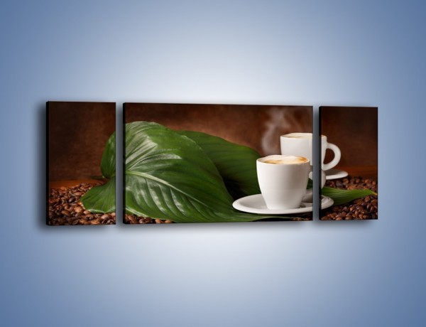 Obraz na płótnie – Kawa na eukaliptusie – trzyczęściowy JN576W5