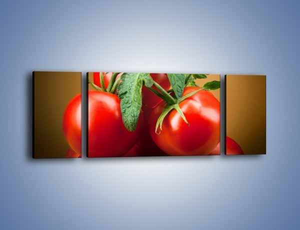Obraz na płótnie – Pomidorki górą – trzyczęściowy JN581W5