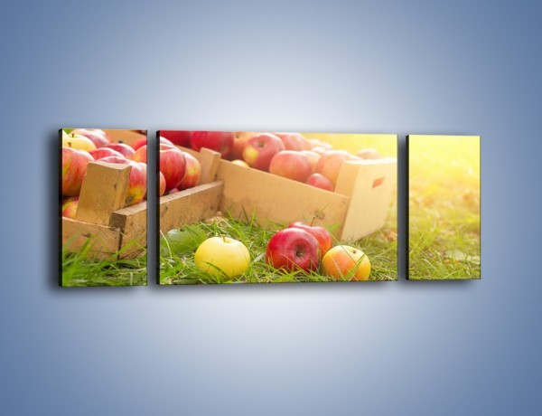 Obraz na płótnie – Jabłka skąpane w trawie – trzyczęściowy JN628W5