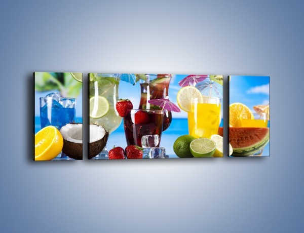 Obraz na płótnie – Drinki z egzotycznych owoców – trzyczęściowy JN640W5