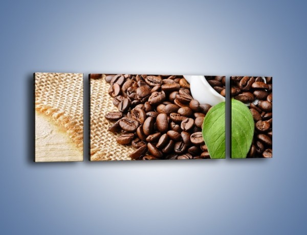 Obraz na płótnie – Liść na kawie – trzyczęściowy JN688W5