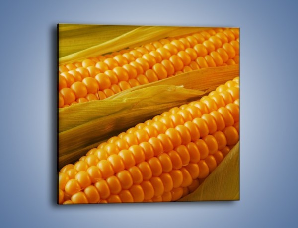 Obraz na płótnie – Kolby dojrzałych kukurydz – jednoczęściowy kwadratowy JN046