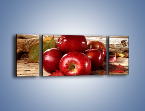 Obraz na płótnie – Dojrzałe jabłka porą jesienną – trzyczęściowy JN741W5