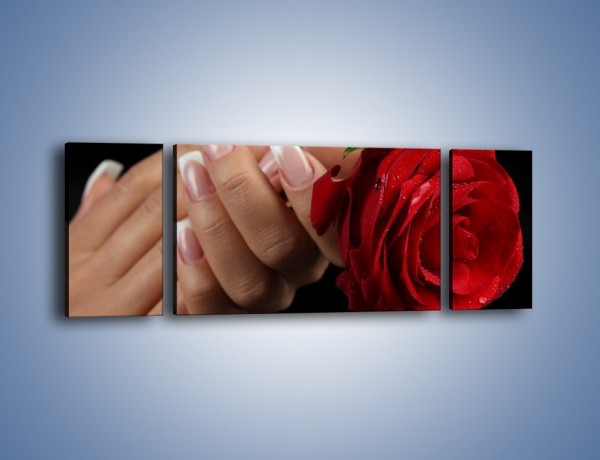 Obraz na płótnie – Kwiat róży w kobiecych dłoniach – trzyczęściowy K006W5