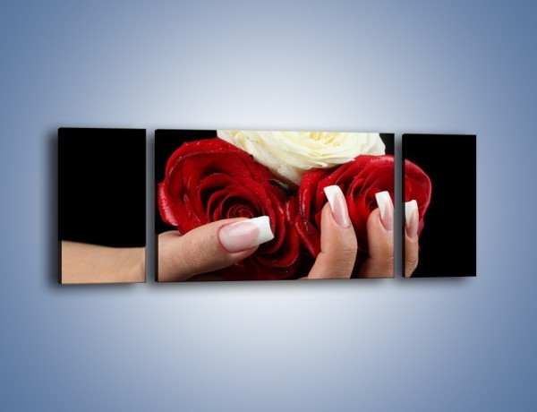 Obraz na płótnie – Pełna garść główek róż – trzyczęściowy K025W5