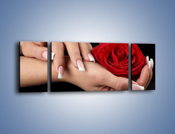 Obraz na płótnie – Czerwona róża w dłoni – trzyczęściowy K037W5