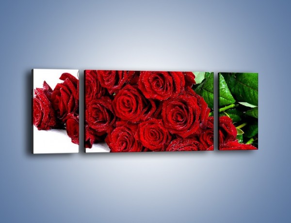 Obraz na płótnie – Oszronione czerwone róże – trzyczęściowy K047W5