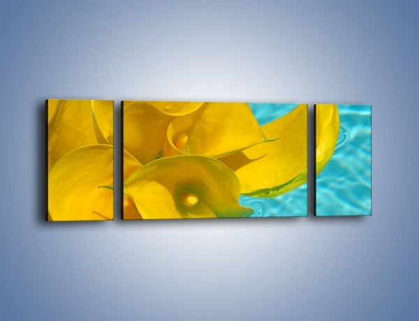 Obraz na płótnie – Żółte kalie na wodzie – trzyczęściowy K082W5