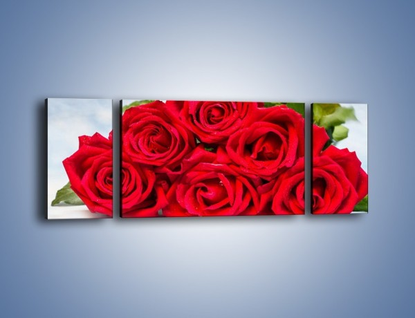 Obraz na płótnie – Czerwone róże bez kolców – trzyczęściowy K1021W5