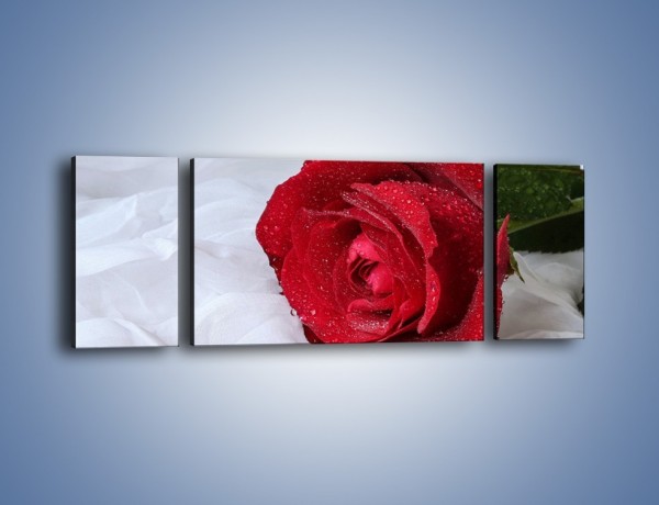 Obraz na płótnie – Bordowa róża na białej pościeli – trzyczęściowy K1023W5