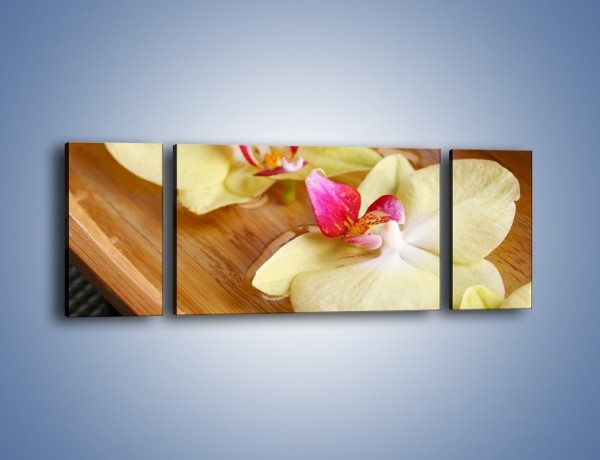 Obraz na płótnie – Drewniana łódeczka z kwiatami – trzyczęściowy K1024W5