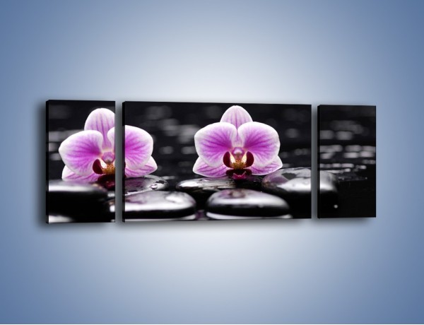 Obraz na płótnie – Duet kwiatowy i czarna woda – trzyczęściowy K1029W5
