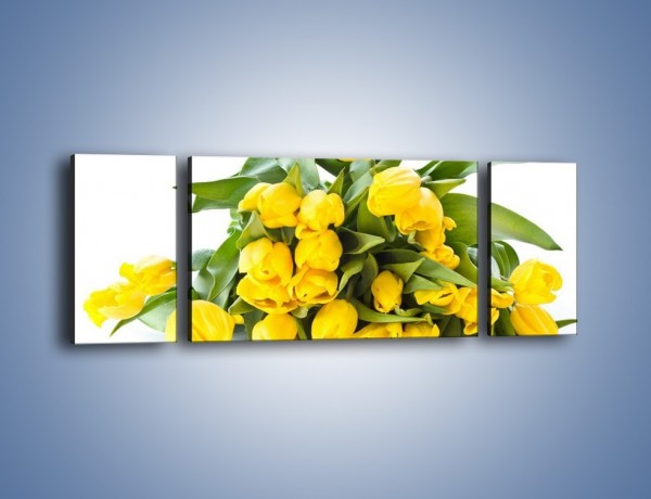 Obraz na płótnie – Piramida żółtych tulipanów – trzyczęściowy K111W5