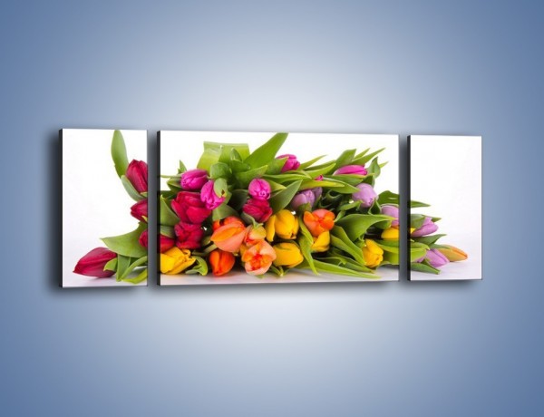 Obraz na płótnie – Kolorowe tulipany pełne luzu – trzyczęściowy K117W5