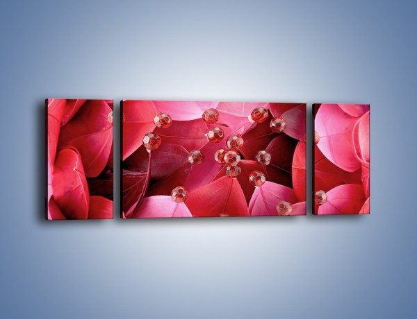 Obraz na płótnie – Koraliki wśród kwiatowych piór – trzyczęściowy K134W5