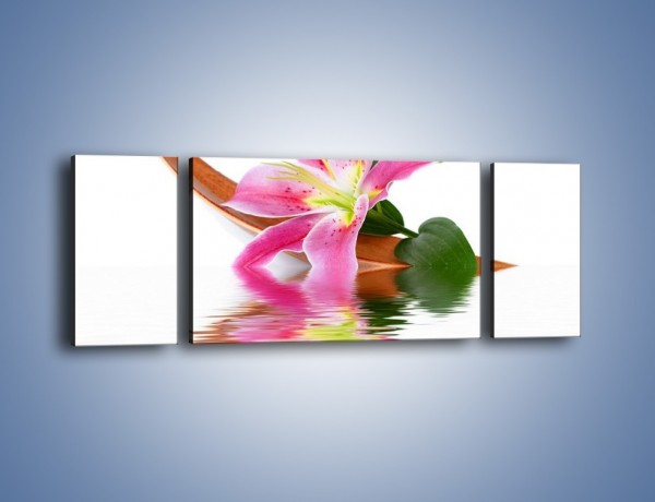 Obraz na płótnie – Odbicie wodne lilii – trzyczęściowy K142W5
