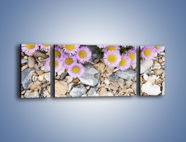 Obraz na płótnie – Kolorowe kamienie czy małe kwiatuszki – trzyczęściowy K146W5