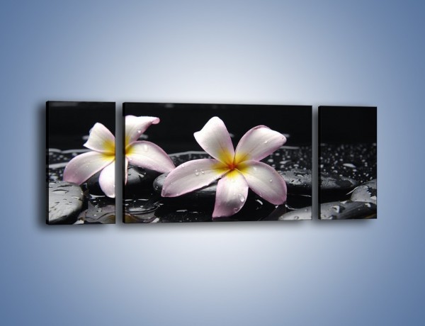 Obraz na płótnie – Delikatne kwiaty w kąpieli wodnej – trzyczęściowy K157W5