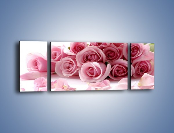 Obraz na płótnie – Nadal piękne róże – trzyczęściowy K167W5
