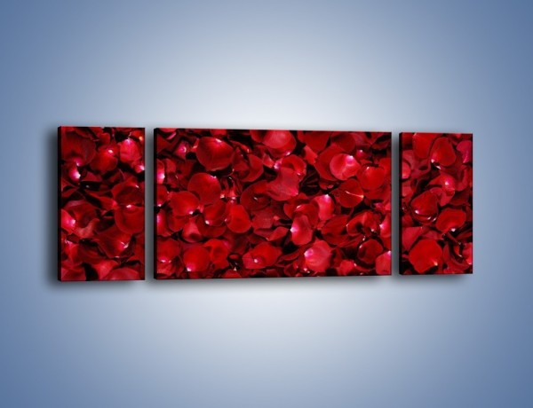 Obraz na płótnie – Dywan usłany płatkami róż – trzyczęściowy K175W5