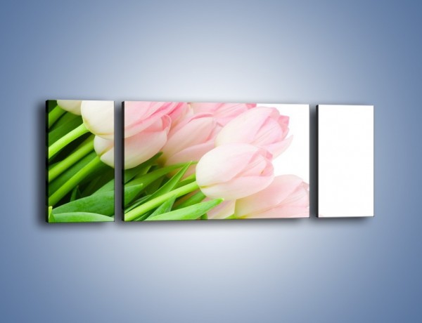 Obraz na płótnie – Światło w kwiatach – trzyczęściowy K183W5