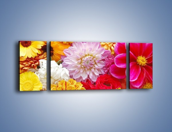 Obraz na płótnie – Letnie kwiaty z działki – trzyczęściowy K198W5