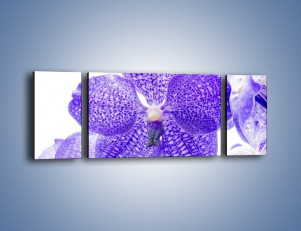 Obraz na płótnie – Jasny fiolet rządzi w kwiatach – trzyczęściowy K259W5