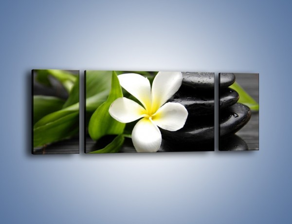 Obraz na płótnie – Kwiat na bambusowej macie – trzyczęściowy K267W5
