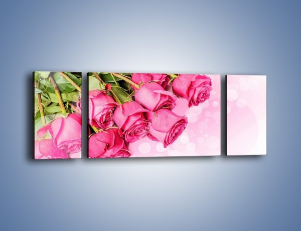 Obraz na płótnie – Róże do góry nogami – trzyczęściowy K270W5