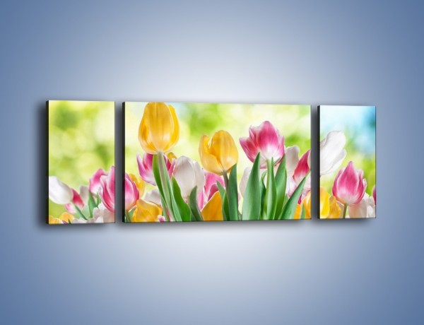 Obraz na płótnie – Tulipany pełne radości – trzyczęściowy K278W5