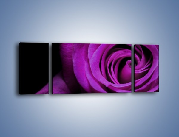 Obraz na płótnie – Tajemniczy różany fiolet – trzyczęściowy K313W5