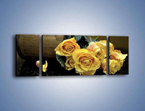 Obraz na płótnie – Zapomniane róże – trzyczęściowy K334W5