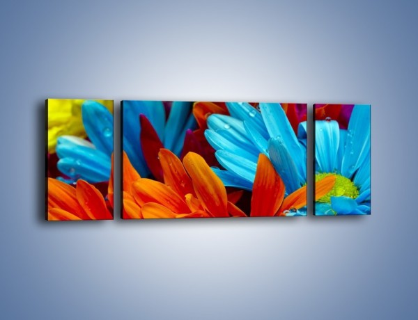 Obraz na płótnie – Kolorowo i kwiatowo – trzyczęściowy K375W5