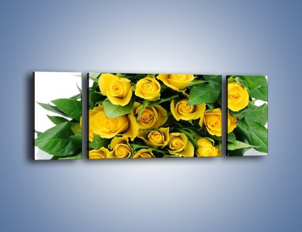 Obraz na płótnie – Wiosenny uśmiech w różach – trzyczęściowy K379W5